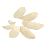 Product foto van Fingerfood schalen hout 19cm x 10cm set van 50 Bootje