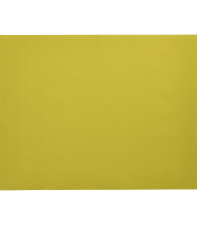 Product foto van Placemats papier olijfgroen 30x40 cm set van 100