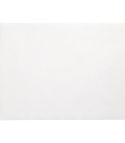 Product foto van Placemats papier wit set van 250 30x40cm