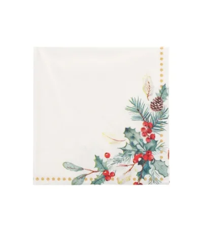 Product foto van Servetten papier 3‑laags 25x25 cm Mistletoe and Pinecone set van 50
