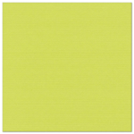 Product foto van Servetten papier lime set van 50 40x40cm ROYAL Collection 1/4 vouw