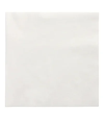 Product foto van Servetten wit 2-laags set van 250 33x33cm