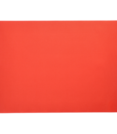 Product foto van 100 Placemats