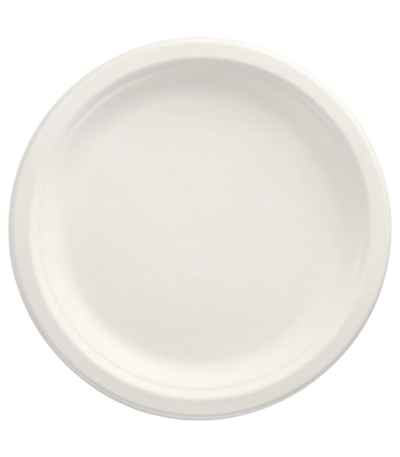 Product foto van 100 Borden van suikerriet "pure" 1-vaks Ø 23 cm · 2 cm wit