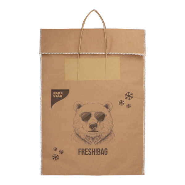 Product foto van Tiefkühltragetaschen Papier (kraft) 52 cm x 38 cm bruin Maat: M